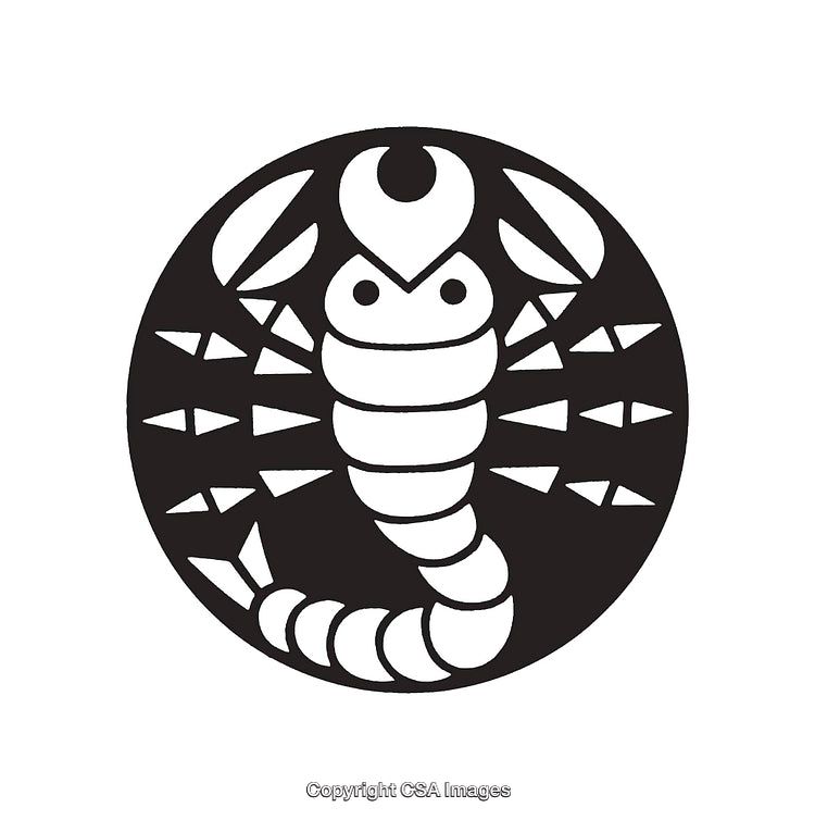 Black and White Line Art Illustration of a Scorpio Design