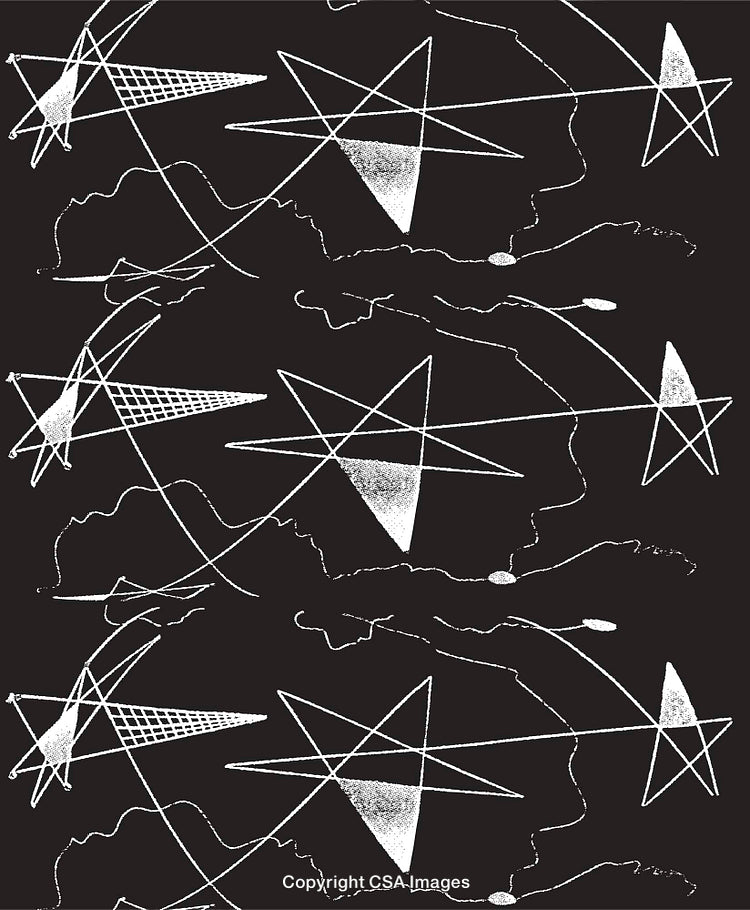 Abstract Black and White Geometric Pattern with Dynamic Lines and Shapes