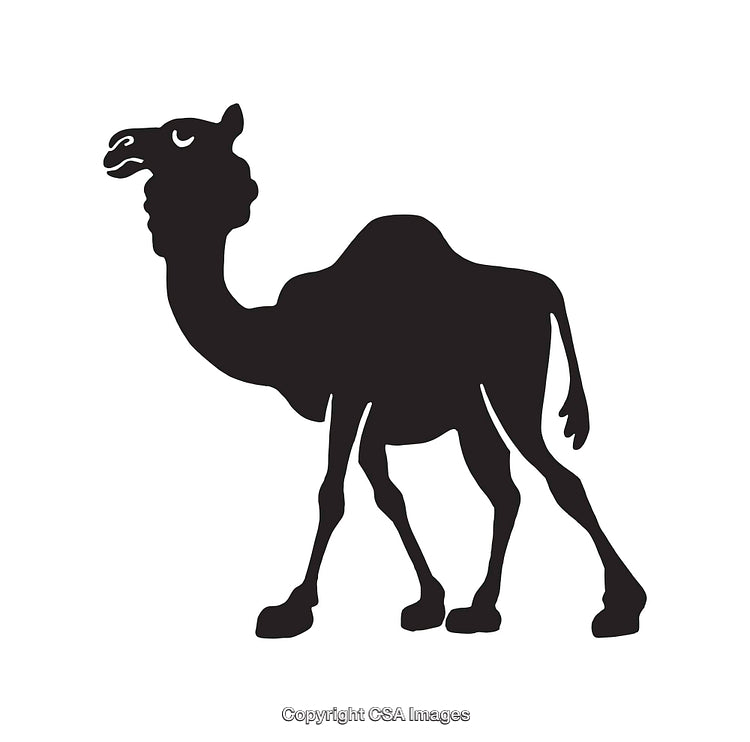 Silhouette Illustration of a Single-Humped Camel in Black and White