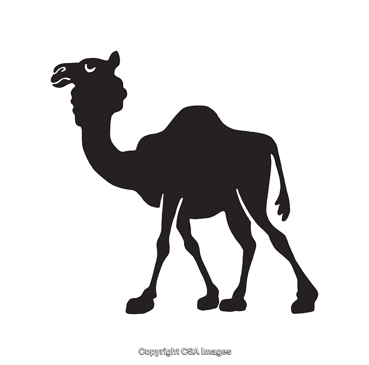 Silhouette Illustration of a Single-Humped Camel in Black and White