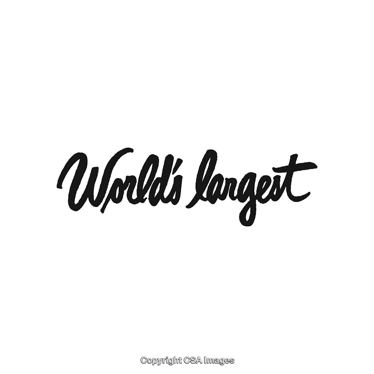 Handwritten Script Text Reading 'World's Largest' on White Background