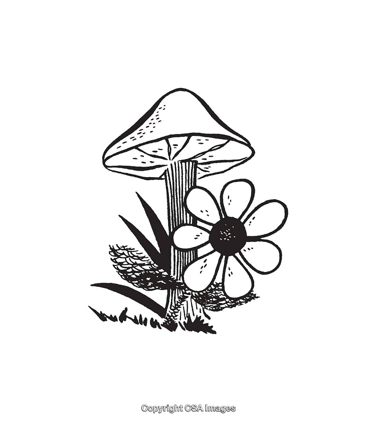 Black and White Line Art of a Mushroom and Daisy Illustration