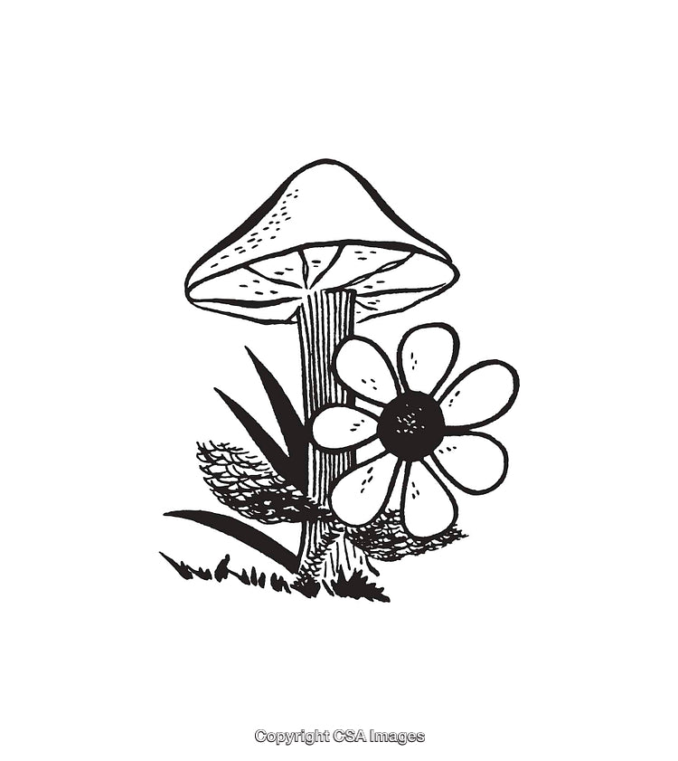 Black and White Line Art of a Mushroom and Daisy Illustration