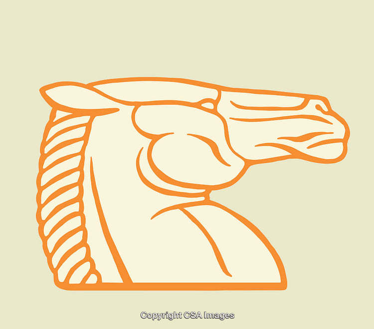 Abstract Horse Line Art Illustration in Orange on Beige Background