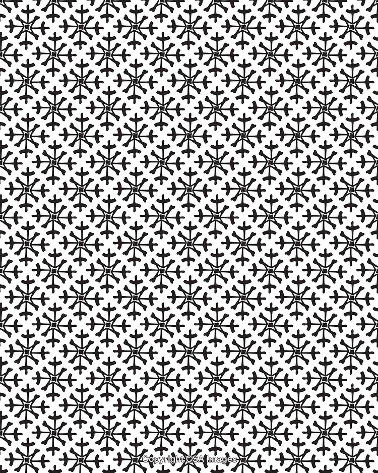 Black and White Geometric Pattern With Repeating Snowflake Design