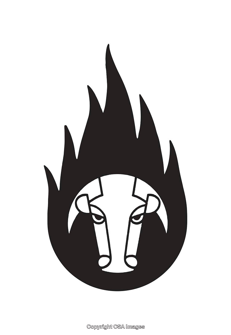 Stylized Black and White Bull Illustration with Flame Design