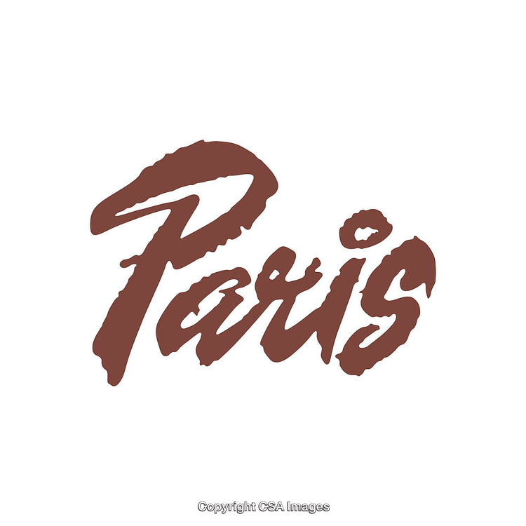 Stylish Typography Featuring the Word 'Paris' in Elegant Script