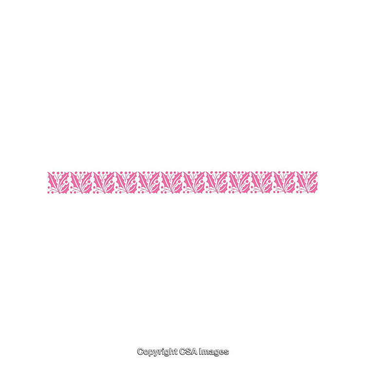 Intricate Pink Decorative Border Pattern With Floral Motif on White Background