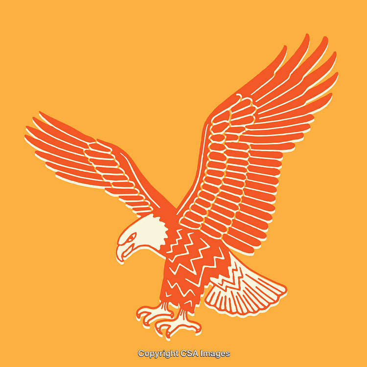 Vivid Line Art Illustration of an Eagle with Spread Wings