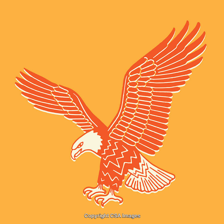 Vivid Line Art Illustration of an Eagle with Spread Wings