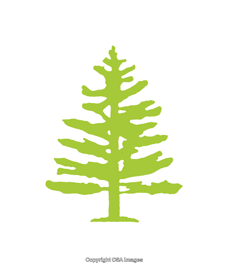 Green Stylized Pine Tree Icon on a White Background