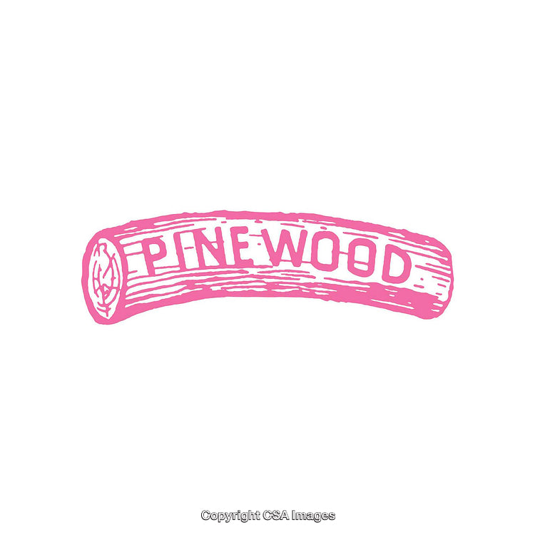 Pink Illustrated Pinewood Log with Text on a White Background