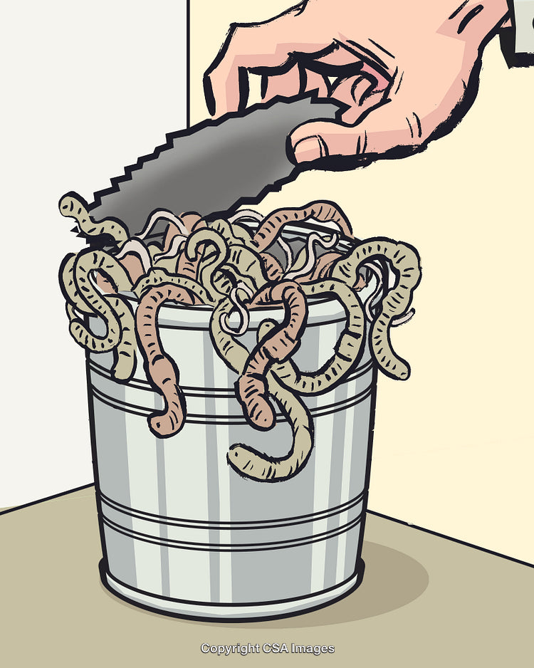 Opening a Can of Worms