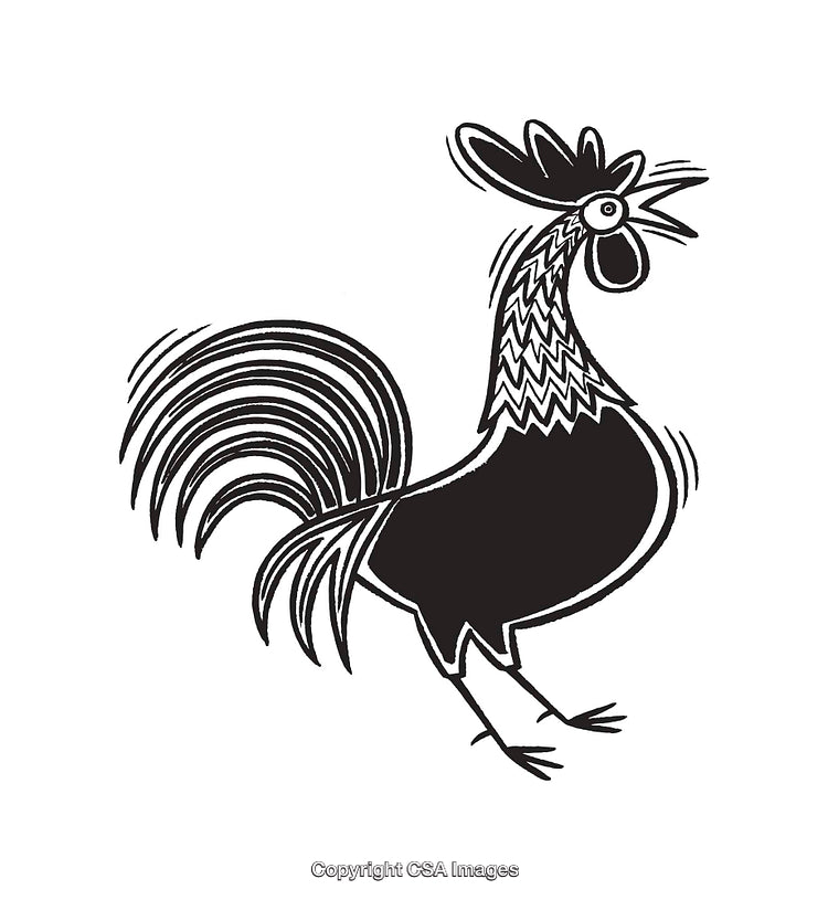 Black and White Line Art Illustration of a Crowing Rooster