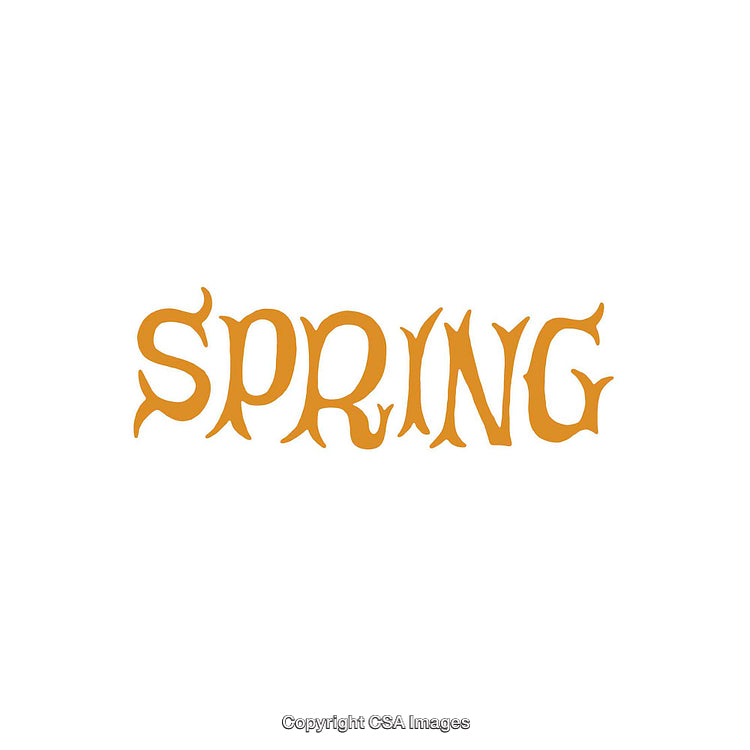 Elegant Word Typography Depicting Spring Season In Vibrant Theme