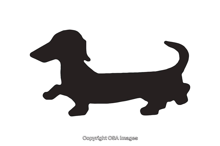 Silhouette Illustration of a Dachshund in Black on White Background