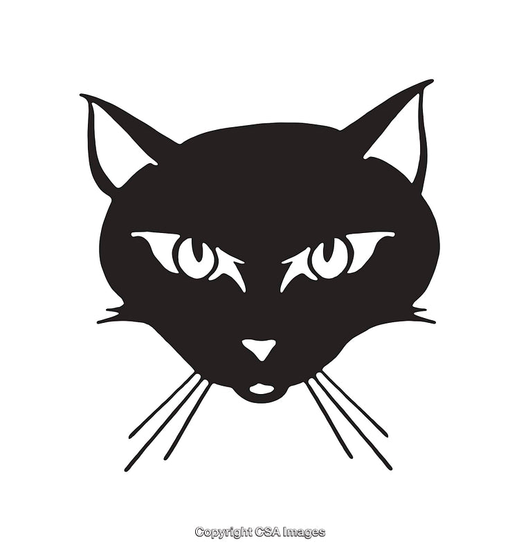 Black and White Line Art of a Cat Face with Piercing Eyes
