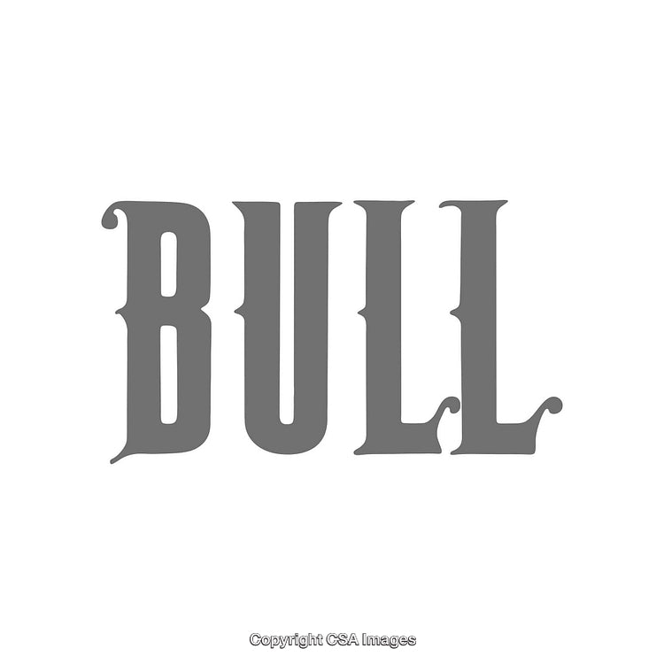 Bold Black Typography Design Featuring the Word 'Bull' in a Retro Font