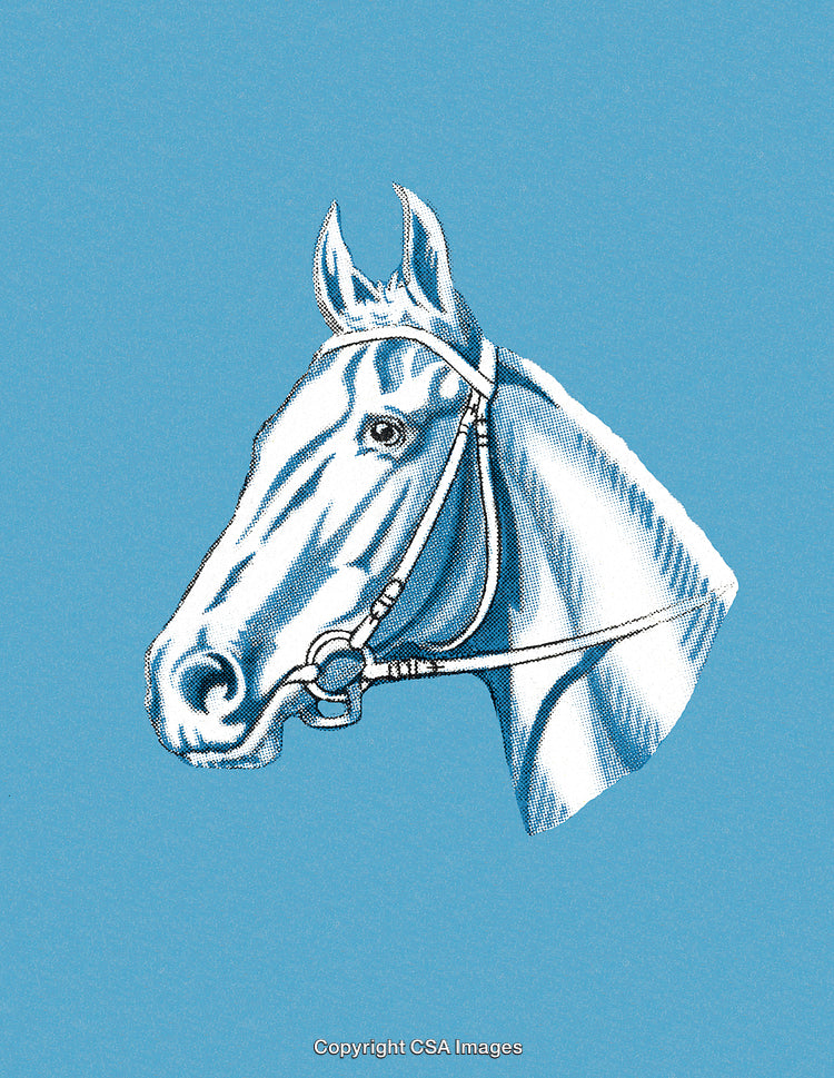 Detailed Illustration of a Horse Portrait on a Sky Blue Background