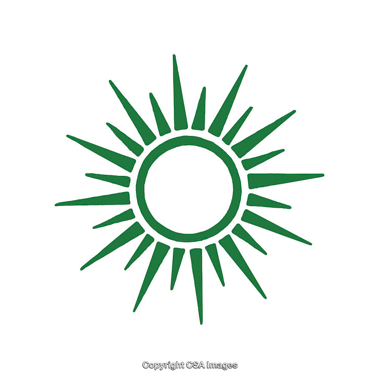 Minimalist Green Sunburst Design With a Circular Shape on White Background