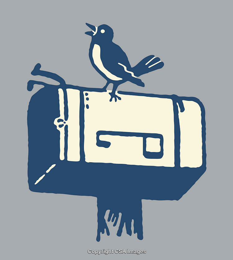 Graphic Style Art of Bird on a Mailbox Illustration
