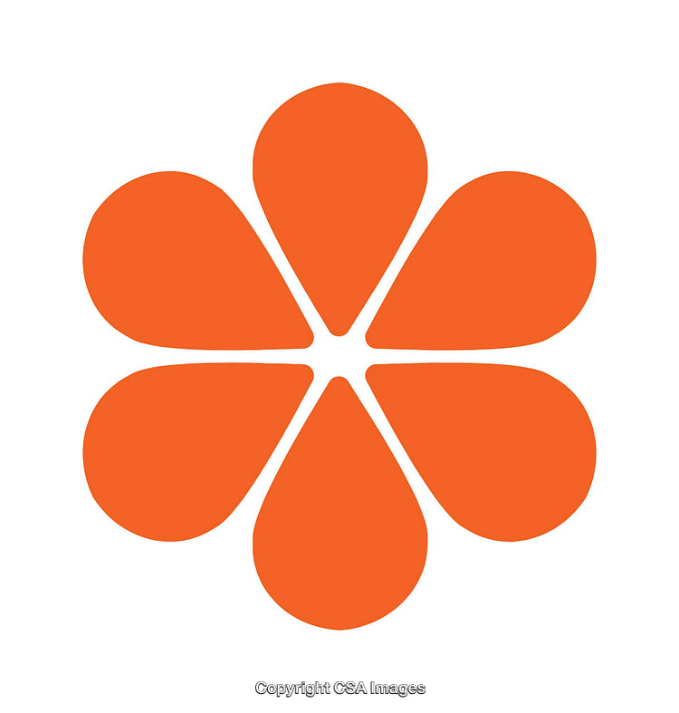 Orange Flower Icon with Simplistic Abstract Petals on White Background