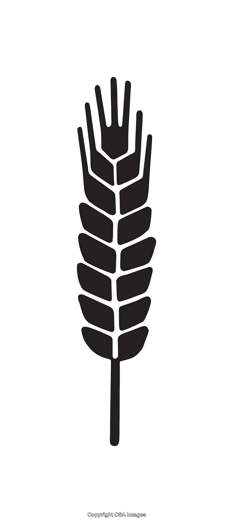 Black and White Wheat Line Art Design for Nature-Inspired Graphics
