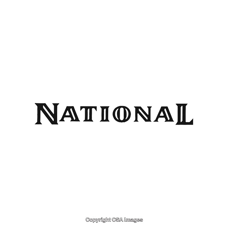 Stylish Black Typeface Featuring the Word 'National' in Artistic Design
