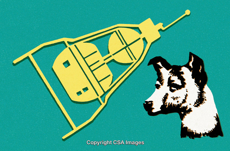 Space Satellite and a Dog