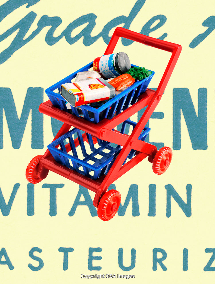 Colorful Toy Shopping Cart with Mini Grocery Items