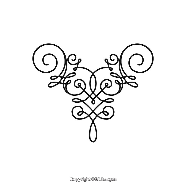 Elegant Black and White Ornamental Swirl Decorative Design Pattern