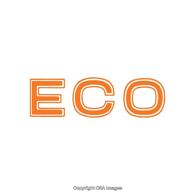 Stylized Orange ECO Text on a Clean White Background