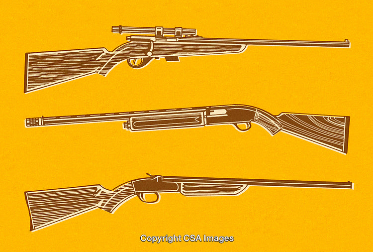 Illustrated Firearms Collection Featuring Various Rifle Types in Bold Graphic Style