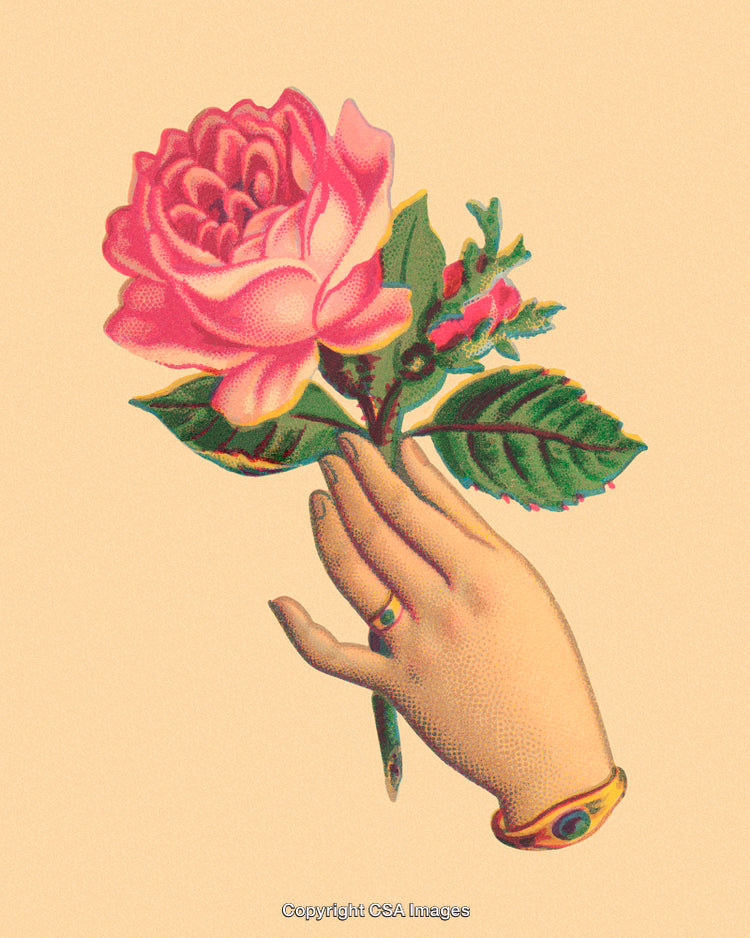 Vintage Illustration of a Hand Holding a Pink Rose with Green Leaves
