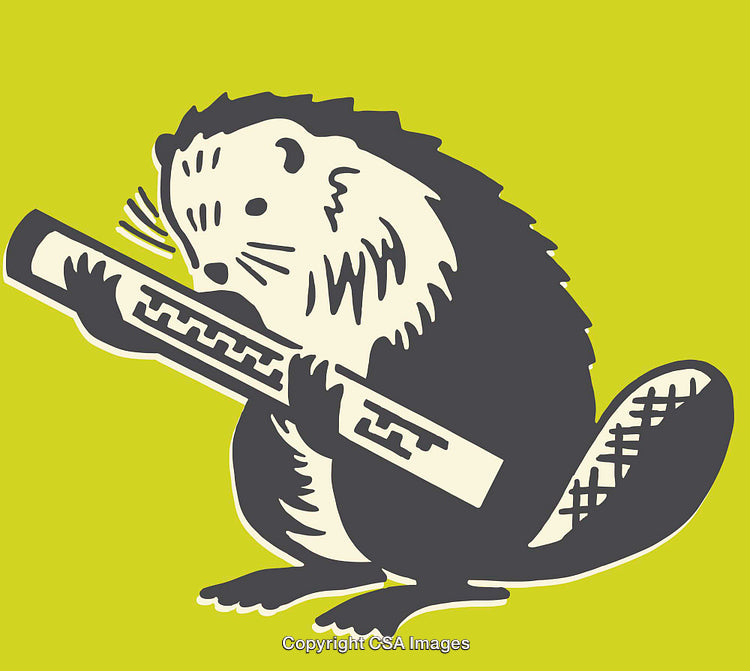 Illustrated Beaver Holding a Log on a Bright Background