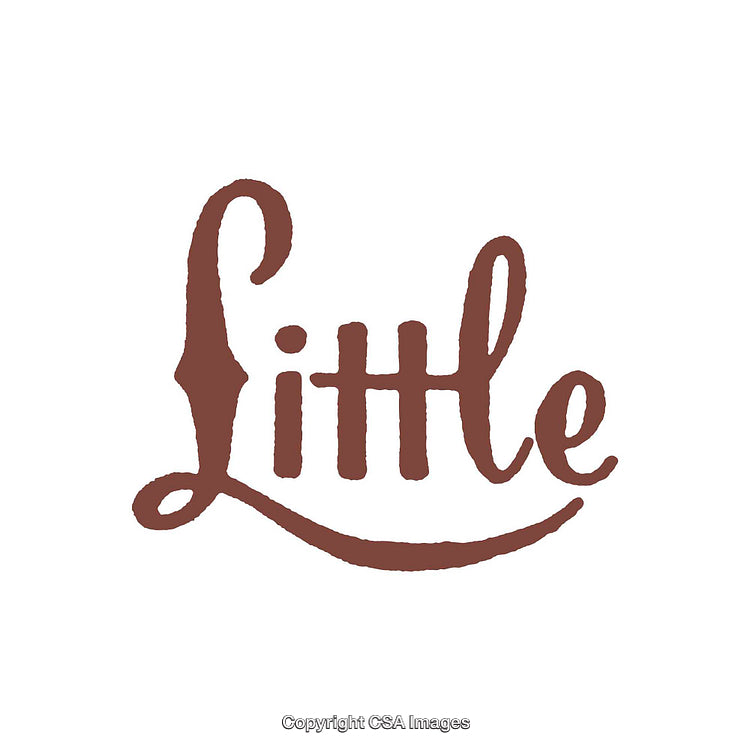 Elegant Hand-Drawn Script Artwork with 'Little' in Brown Hue