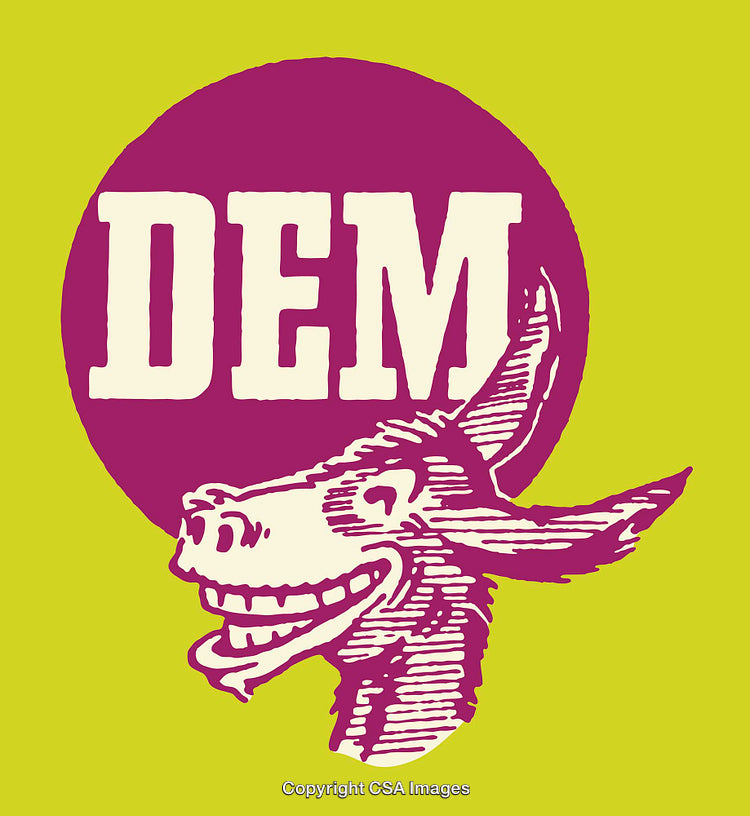 Retro Style Donkey Illustration With Bold Text On Vibrant Background