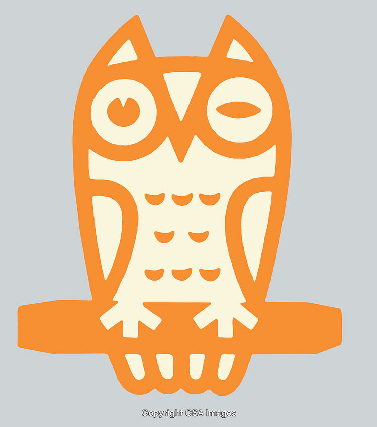 Orange and Cream Owl Abstract Illustration with Simplistic Geometric Design