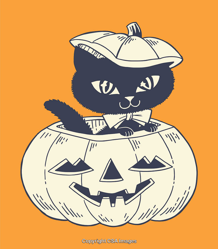Adorable Black Cat in Pumpkin Illustration Perfect for Halloween Themes
