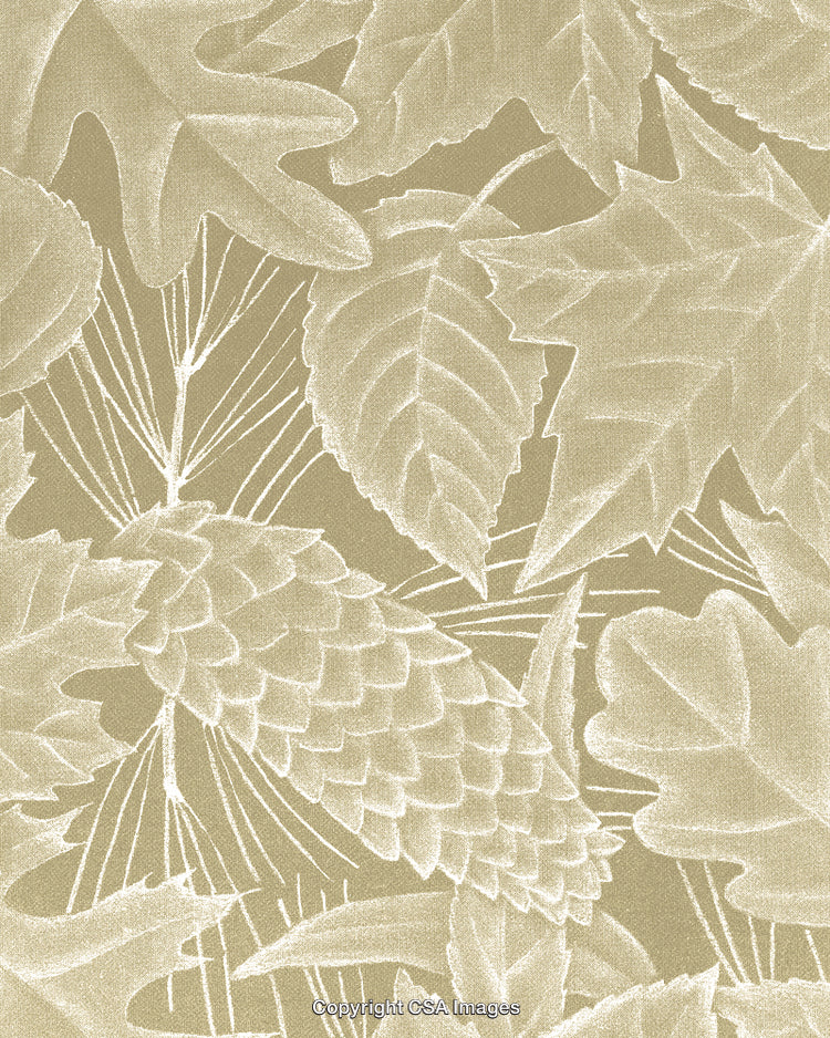 Leaves and Pinecone