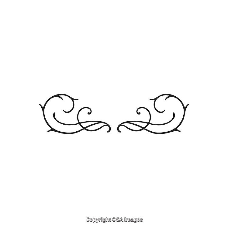 Elegant Decorative Black Curled Design Element Isolated on a White Background