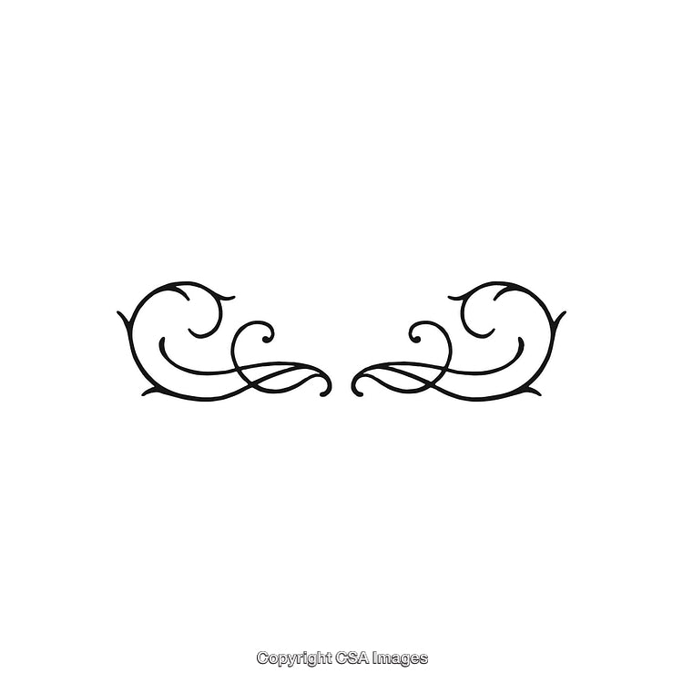 Elegant Decorative Black Curled Design Element Isolated on a White Background