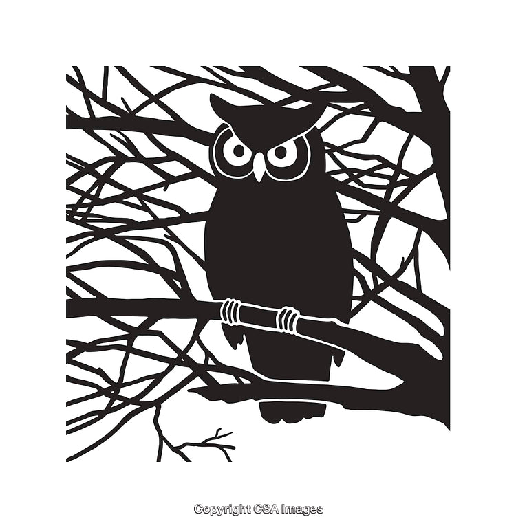 Black-and-White Owl Line Art Illustration Amid Tree Branches