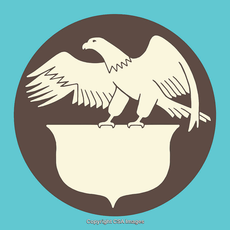 Minimalist Eagle Illustration with Crest on Blue and Brown Background