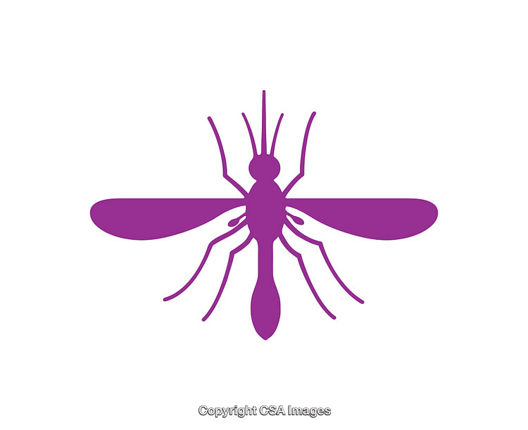 Purple Mosquito Icon on a White Background for Insect Illustration