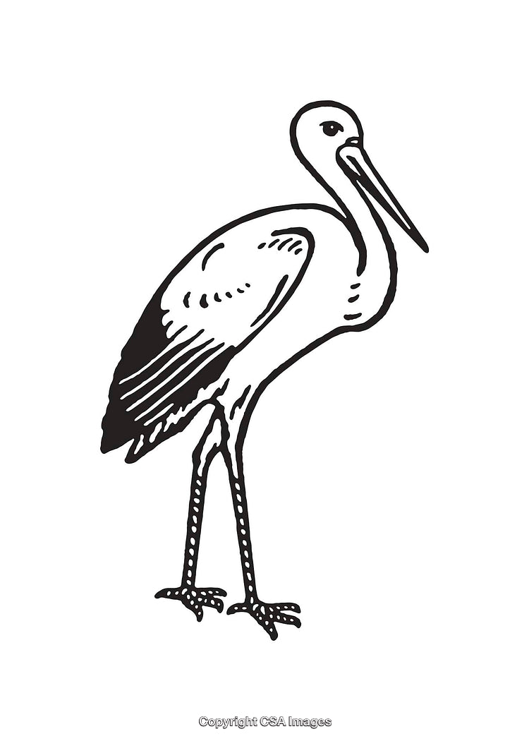 Black and White Line Art Illustration of a Graceful Stork