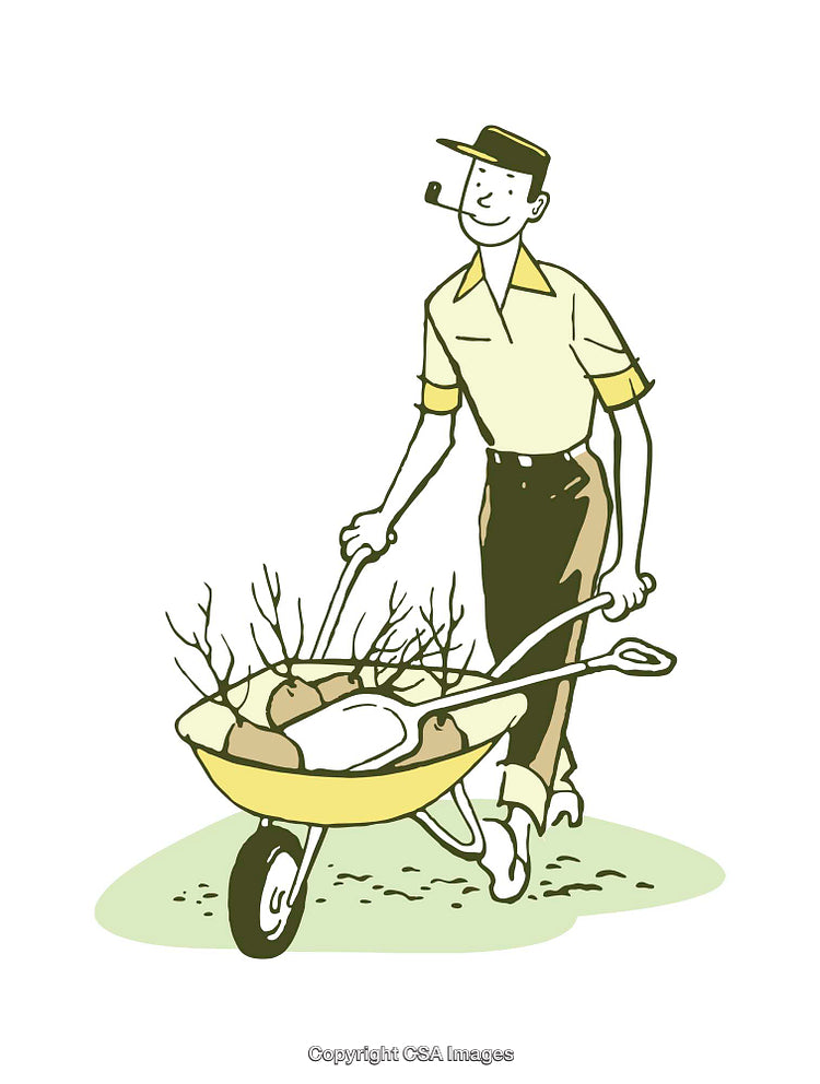 Illustration of a Gardener Pushing a Wheelbarrow with Plants