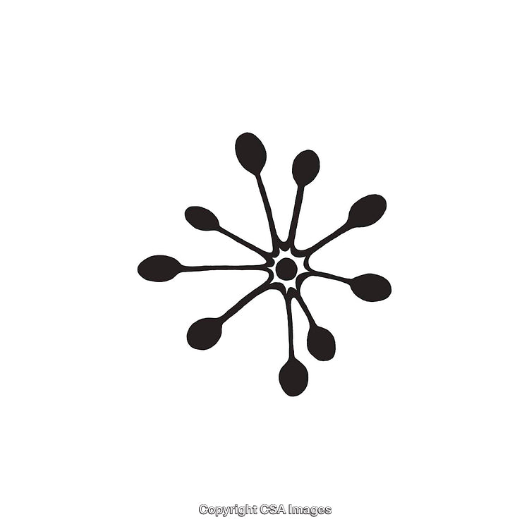 Abstract Black and White Dingbat with Radial Design