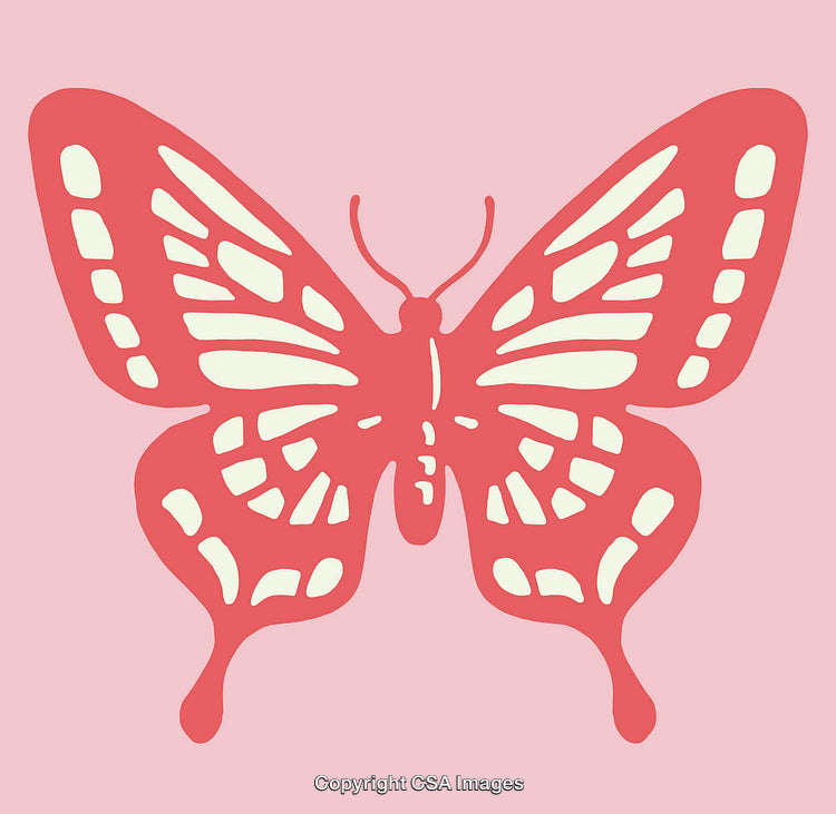 Vivid Butterfly Vector Illustration on Pink Background
