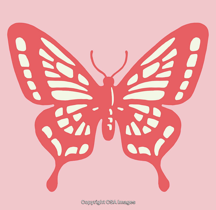 Vivid Butterfly Vector Illustration on Pink Background